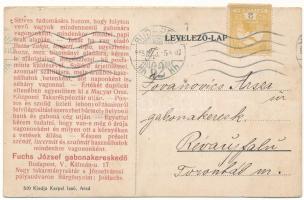 1915 Arad, Vértanú szobor, Weigl Adolf és Fia üzlete. Fuchs József gabonatőzsde reklám / monument, s...