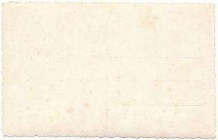 Fertő-tető, Muntele Mic (Karánsebes, Caransebes); menedékház, turistaház / mountain rest house, tour...