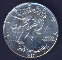 USA 1987. 1$ Ag "Liberty" 1oz. T:1