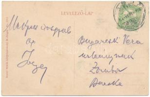 1914 Máramarossziget, Sighetu Marmatiei; Petőfi liget. Benkő Miklós kiadása / park