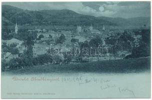 1902 Abrudbánya, Abrud; látkép. Gálfi György fényképész kiadása / general view