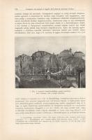 A Balaton környékének földrajzi leírása, orográfiája és geologiája. Geologiai, petrografiai, minerol...