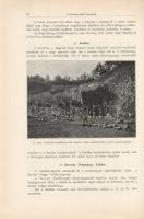 A Balaton környékének földrajzi leírása, orográfiája és geologiája. Geologiai, petrografiai, minerol...