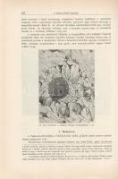 A Balaton környékének földrajzi leírása, orográfiája és geologiája. Geologiai, petrografiai, minerol...