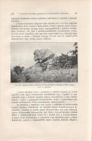 Vendl Aladár: 
A Velencei hegység geológiai és petrografiai viszonyai. Az I-IV. táblával és 42 ábrá...