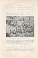 Vendl Aladár: 
A Velencei hegység geológiai és petrografiai viszonyai. Az I-IV. táblával és 42 ábrá...