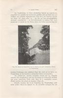 Vendl Aladár: 
A Velencei hegység geológiai és petrografiai viszonyai. Az I-IV. táblával és 42 ábrá...