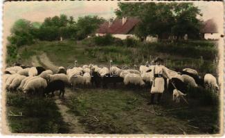 Boksánbánya, Románbogsán, Németbogsán, Deutsch-Bogsan, Bocsa Montana; Vassafalvai (Vasziova) részlet, erdélyi folklór / Vasiova, Transylvanian folklore. Foto Atelier J. Dreher photo (EK)