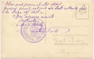 Sebed, Sipet (Temes); Általános iskolás tanulók, erdélyi folklór / primary school students, Transylv...