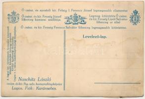 Karánsebes, Caransebes; műkedvelők, amatőr színházi társulat csoportképe. Naschitz László cs. és kir...