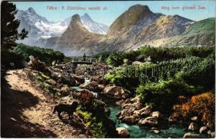 Tátra, Magas-Tátra, Vysoké Tatry; A Zöld tóhoz vezető út. Cattarino S. utóda Földes Samu kiadása / Weg zum grünen See