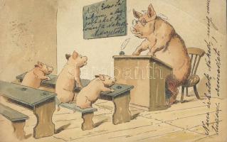 1899 Pigs (EB)