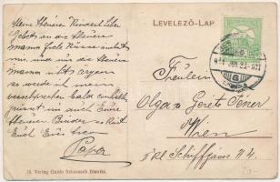 1911 Beszterce, Bistritz, Bistrita; Dr. Keintzel's Wasserheilanstalt / Dr. Keintzel-féle vízgyó...