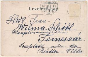 1903 Hidasliget, Bruckenau, Pischia; látkép / general view (kis szakadások / small tears)