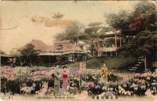 1913 Tokyo, Iris Garden at Horikiri (fa)