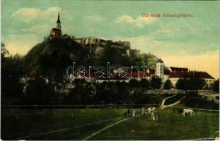 1911 Németújvár, Güssing; vár / castle (Rb)