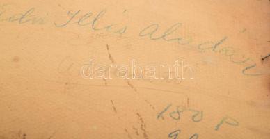 Edvi Illés Aladár (1870-1958): A Toblachi-tó. Olaj, karton. Jelezve balra lent. Felületi sérülésekke...