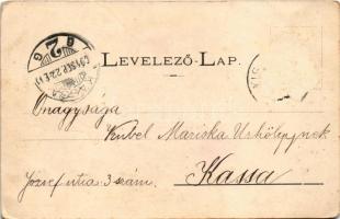 1904 Kisszeben, Zeben, Sabinov; Városháza. Stehr Gusztáv kiadása / town hall (Rb)