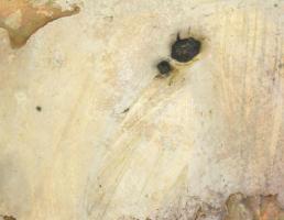 Ezüst (Ag) ékszeres doboz, lófigura fogóval, jelzett, kulcs nélkül, 460g