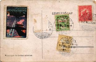 1917 Olasz vízirepülőgép (L. 157), egyik régi s általunk már nem használt rendszerünk utánzata. 1916...