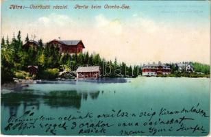 1904 Tátra, Magas-Tátra, Vysoké Tatry; Csorba-tó. Cattarino Sándor kiadása / Partie beim Csorba-See / Strbské pleso / lake (EK)