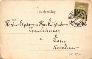 1904 Budapest VIII. M. Kir. Honvéd Ludovika Akadémia, Ludoviceum (EM)