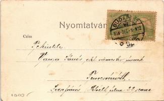 1904 Budapest I. Látkép (EM)