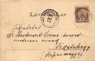 1901 Segesvár, Schässburg, Sighisoara; Petőfi szobor, Fehéregyházi szabadság szobor, honvéd emlékmű ...