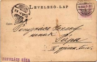 1898 (Vorläufer) Debrecen, Református nagytemplom és kollégium, színház, Bika szálloda, Csokonai szo...