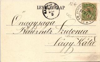 1902 Nagybecskerek, Zrenjanin, Veliki Beckerek; Vármegyeháza, piac. Grosits J. kiadása / county hall...