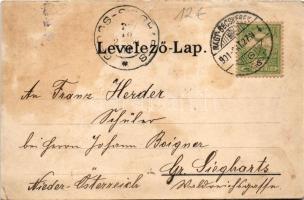 1901 Nagybecskerek, Zrenjanin, Veliki Beckerek; Hunyadi utca, piac, üzletek. Schenk H. kiadása / str...