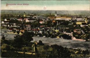 Beregszász, Beregovo, Berehove; látkép. Farkas J. kiadása / general view (felületi sérülés / surface damage)