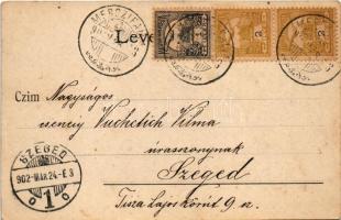 1902 Vinga, Üdvözlet Vingáról. Erdélyi népviselet, folklór / Greetings from Vinga! Transylvanian fol...