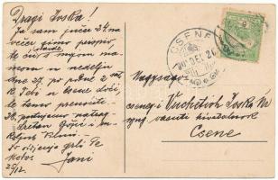 1908 Módos, Jasa Tomic; fürdőház / spa