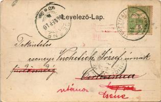 1906 Temesvár, Timisoara; Vadászerdő, M. kir. erdőőri szakiskola. Polatsek kiadása / forest ranger s...