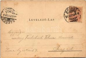 1899 (Vorläufer) Brassó, Kronstadt, Brasov; Schlossberg, Villa Schuller, Marktplatz / Cetatea / Fő t...