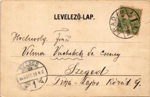 1903 Arad, Városháza. Nachbargauer János kiadása / town hall (kis szakadás / small tear)