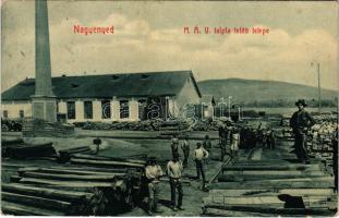 1911 Nagyenyed, Aiud; MÁV (Magyar Királyi Államvasutak) talpfa telítő telepe, iparvasút. W.L. Bp. 6086. Cirner J. József kiadása / railroad tie factory of the Hungarian State Railways, industrial railway