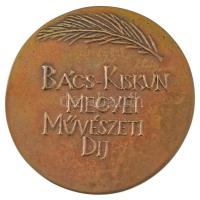 ~1970. "Bács-Kiskun Megyei Művészeti Díj" kétoldalas, öntött bronz emlékérem eredeti tokba...