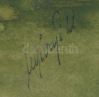 Nyáregyházi báró Nyáry Pál (?-?): Vízparti táj. Akvarell, papír. Jelezve jobbra lent. Kartonra kasír...