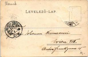 1900 Pozsony, Pressburg, Bratislava; vár, gőzhajó. Schmidt Edgar / castle, steamship (EB)