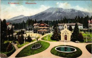 Tátrafüred, Ótátrafüred, Altschmecks, Stary Smokovec (Magas-Tátra, Vysoké Tatry); látkép. Cattarino S. utóda Földes Samu kiadása / general view (fl)