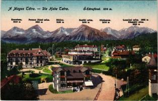 Tátrafüred, Ótátrafüred, Altschmecks, Stary Smokovec (Magas-Tátra, Vysoké Tatry); látkép, Kertész Tódor üzlete, kávéház / general view, shop, café