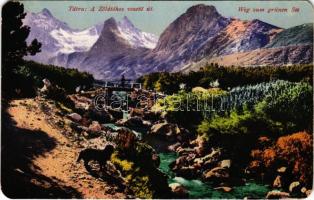 1918 Tátra, Magas-Tátra, Vysoké Tatry; A Zöld-tóhoz vezető út. Cattarino S. utóda Földes Samu kiadása / Weg zum grünen See / road to the lake (EM)