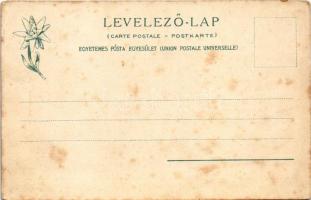 Tátra, Magas-Tátra, Vysoké Tatry; Der Csorber See / Csorba-tó. Feitzinger Ede 1904/14. 616. Auto-Chr...