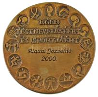 2000. "Eger testneveléséért" egyoldalas, öntött érdemérem gravírozva, eredeti dísztokban (110mm) T:AU