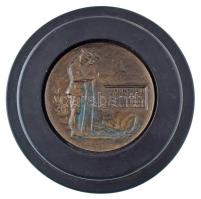 DN "Robert Beech ezredes, aki 1916 augusztusában halt meg" I. világháborús bronz emlékérem replika lakkozott fa keretben, hátoldalán akasztóval (73mm, 128mm) C:XF ND "Colonel Robert Beech C. M. G. D. S. O. commanding 2nd Scottish horse died August 1916" WWI bronze replica medal in a lacquered wooden frame, with a hanger on the back (73mm, 128mm) C:XF