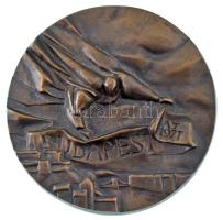 Asszonyi Tamás (1942- ) 1977. &quot;Budapest&quot; egyoldalas, öntött bronz plakett (83mm) T:AU,XF