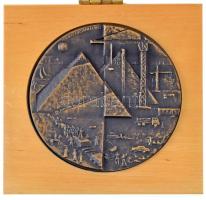 Finnország 1988. "Rakennuskunta Haka 1938-1988" kétoldalas bronz emlékérem a Rakennuskunta...