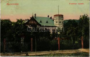 Piliscsaba, Frommer nyaraló, villa. Blau Adolf kiadása (EK)